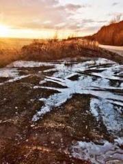 lt;Marry at first si