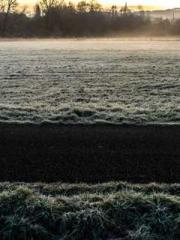 Two Treasures Arrive