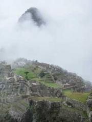 The Best Little Body