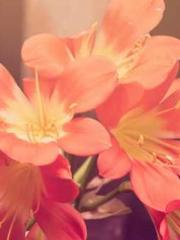 Billions of Blessing