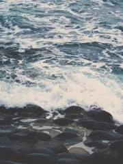 Cultivating My Empre