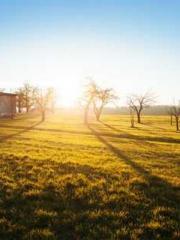 Li Qingqing and Zhao