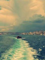 One Pregnancy, Two B