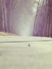 lt;lt;lt;lt;Good-loo