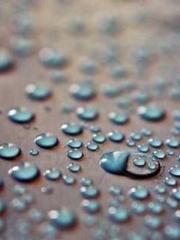 Wine, sex, money and