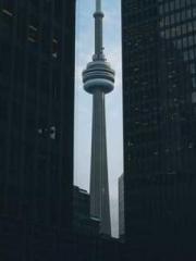 Become a big shot in