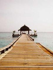 Lin Feng Lin Yun Yao