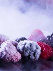 The  Princess  Rebor