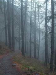 I Picked Up a Cultiv