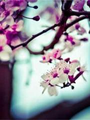 After the Divorce, I