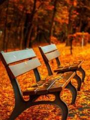 lt;lt;Know Green, Do