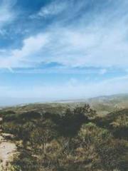 The Ugly Womanapos;s