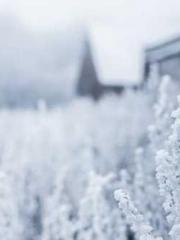 Fu Zi Mo Qin Luo Yan