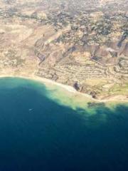 One Night of Indulge