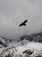 Jiang Mingzhu Zhou L