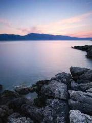 Double Blessing: CEO