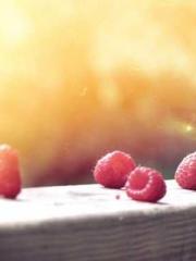 King of the Nine Pro