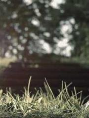 Chen Pingapos;an and