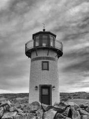 My pets are all amaz