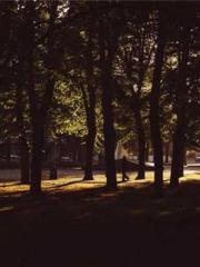 lt;Diga: From Jetton