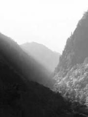 Super husband Lin Xi