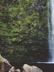 Qi is thin, but I be