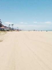 Bodhisattva of Compa