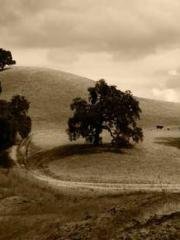 My husband is the Ki