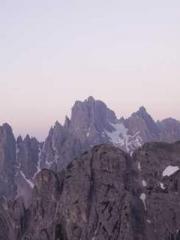 My pets are all amaz