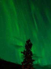 Rong Zhao, male, Nin