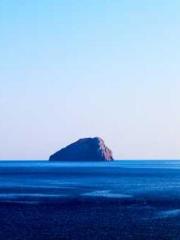 Yellow Spring Expres