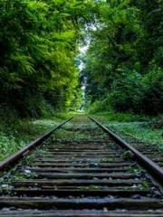 The Imperial Concubi