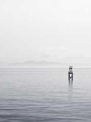 My Amazing Female Te