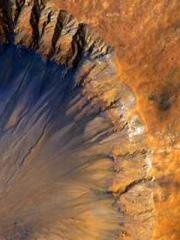 Saintly Gate Venerab