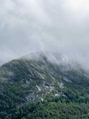 After miscarriage an