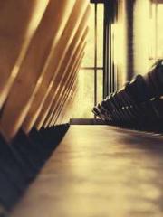 The Undefeated Son-i