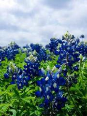 Fast Travel: The Big