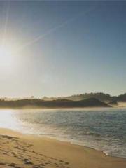 Bones-Eating Marriag