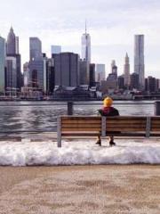 Cultivating My Empre