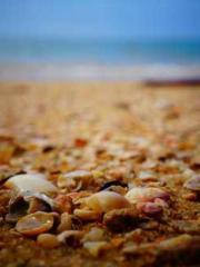 Fu Zi Mo Qin Luo Yan